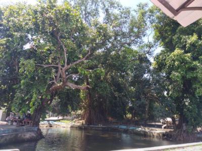 Sendang Tirto Sinongko
